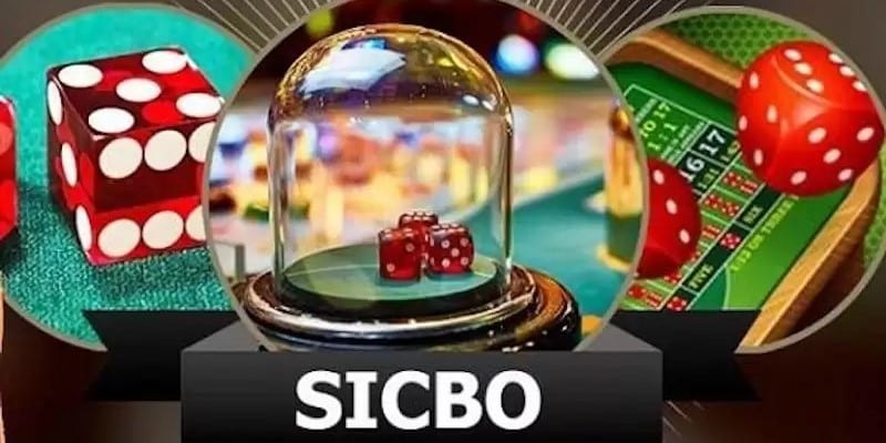 Nguyên tắc chơi game Sicbo